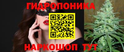 Альфа ПВП Будённовск